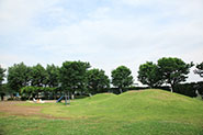ふじみ野市運動公園