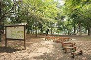 伊佐沼公園
