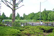 川口自然公園
