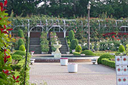 谷津バラ園