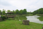 城山公園
