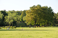 そうか公園