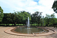 蕨市民公園