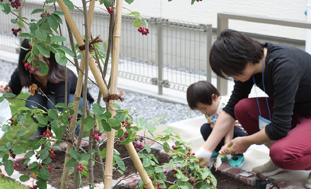 家庭菜園を楽しむ親子