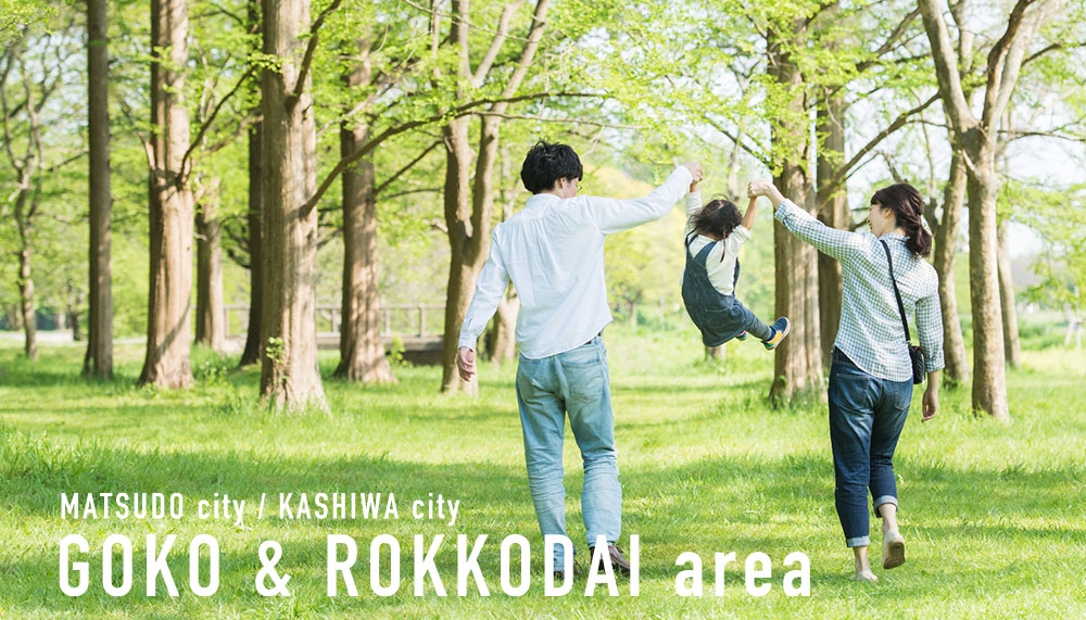 MATSUDO city / KASHIWA city GOKO & ROKKODAI area