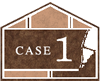 case1