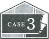 case3